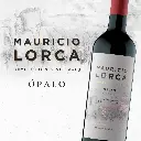 ML-IMAGEN-WEB-OPALO-MB.webp