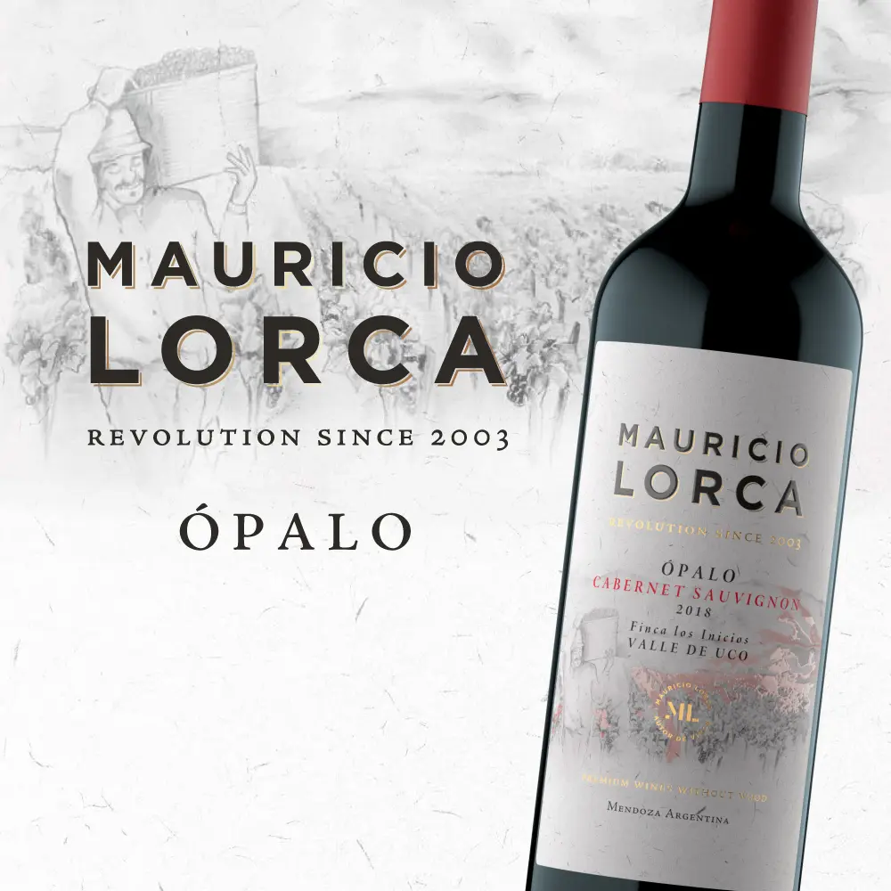 ML-IMAGEN-WEB-OPALO-CS.webp