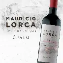 ML-IMAGEN-WEB-OPALO-CS.webp