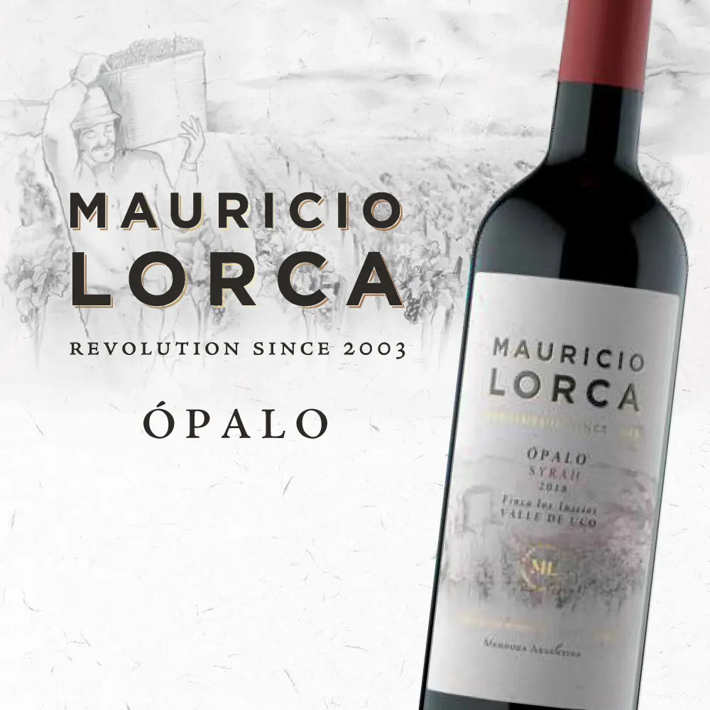 ML-IMAGEN-WEB-OPALO-SY.webp