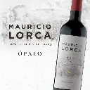 ML-IMAGEN-WEB-OPALO-SY.webp