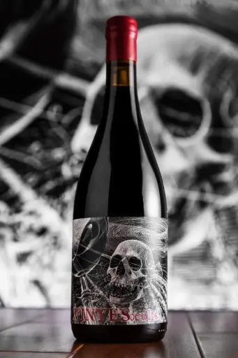Vinyes Ocults Malbec Cot - Caja x 6
